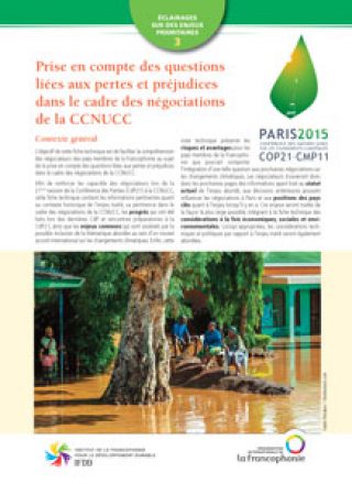 Prise en compte des questions liées aux pertes et préjudices dans le cadre des négociations de la CCNUCC – 2015
