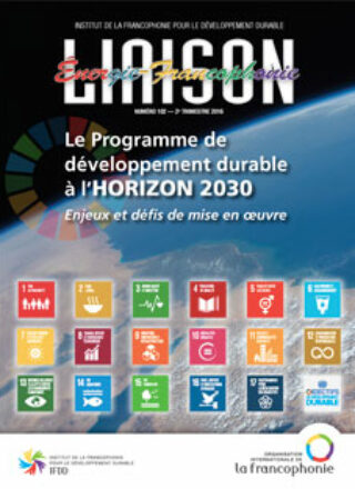 Liaison Énergie-Francophonie – Le Programme de développement durable à l’horizon 2030 – Enjeux et défis de mise en oeuvre