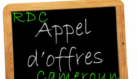 Appel d’offres pour la mise en place des bureaux nationaux (Cameroun et RDC) du Projet PDTIE