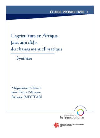 L’agriculture en Afrique face aux défis du changement climatique – SYNTHÈSE