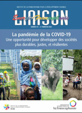 Liaison Énergie-Francophonie – La pandémie de la COVID-19 une opportunité pour développer des sociétés plus durables, justes, et résilientes