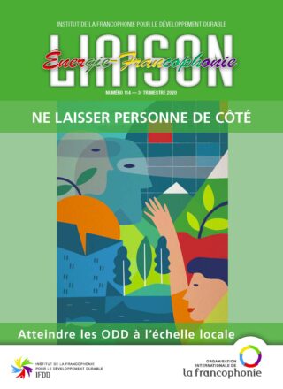 Liaison Énergie-Francophonie – Ne laisser personne de côté : les ODD à l’échelle locale