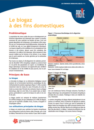 Fiche technique PRISME – Le biogaz à des fins domestiques – 2012