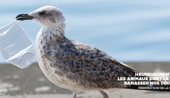 Prenons soin de la planète