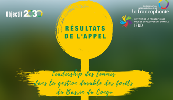 Afrique centrale : l&rsquo;OIF soutient 3 initiatives féminines de gestion durable des forêts et d’autonomisation des femmes au Cameroun, en RDC et au Rwanda