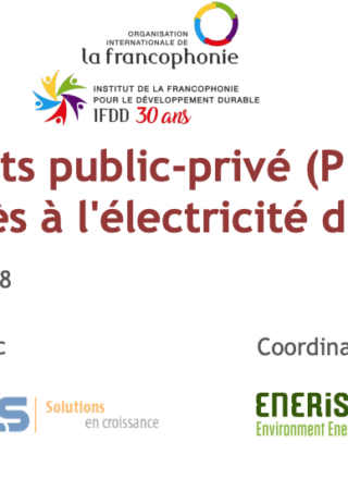 Les partenariats public-privé (PPP) pour l&rsquo;accès à l&rsquo;électricité durable