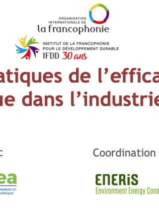 Bonnes pratiques d&rsquo;efficacité énergétique dans l&rsquo;industrie