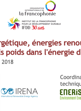 Efficacité énergétique, énergies renouvelables et accès : quels poids dans l&rsquo;énergie durable ?