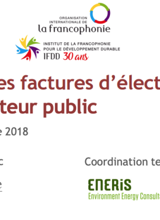 Contrôle des factures d&rsquo;électricité dans le secteur public