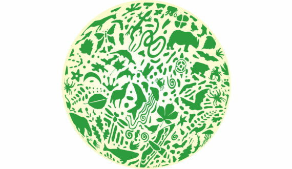 Biodiversité