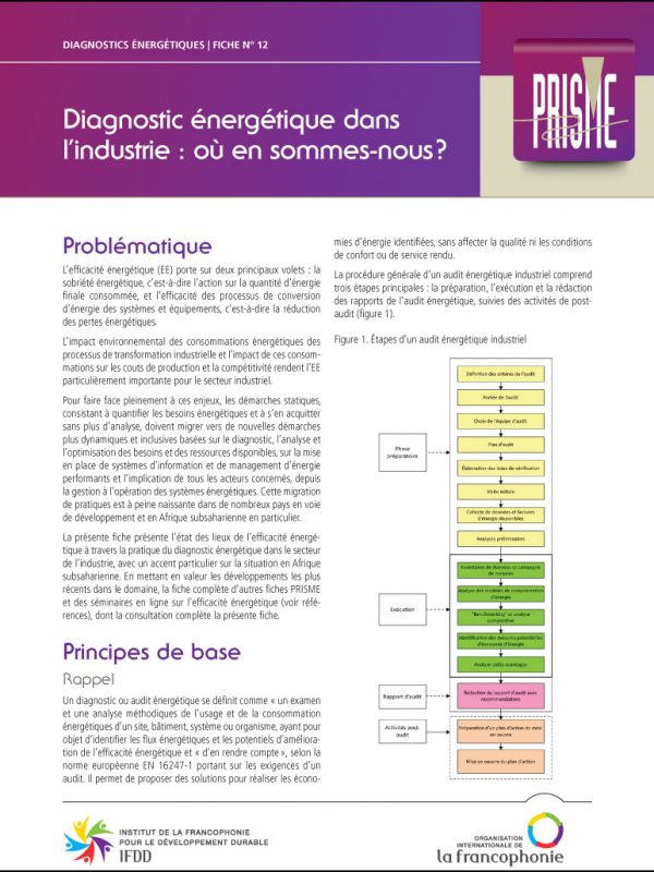 Couverture Fiche Prisme No12 - Diagnostic énergétique dans l'industrie - 2021