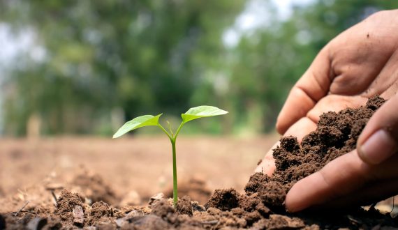 Appel à propositions d&rsquo;évènements COP15 |