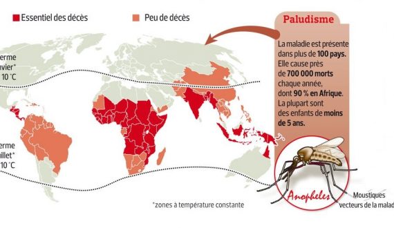 Paludisme