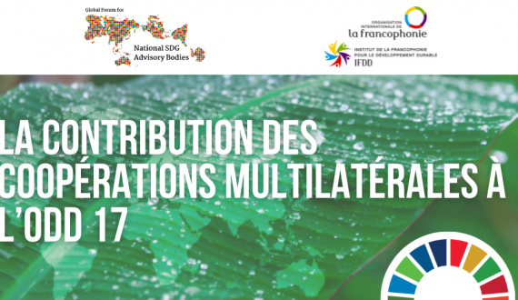 Cartographie des acteurs francophones impliqués dans la mise en œuvre des ODD, un outil au service de partenariats innovants