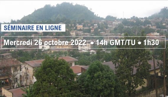 Transition énergétique du Cameroun : état de situation et perspectives