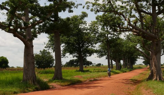 L’IFDD mobilise la communauté francophone en faveur des approches croisées entre l’agriculture, l’eau, le climat, l’énergie et la biodiversité.