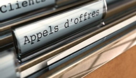 Cinq appels d’offres (audit financier, comptabilité, deux évaluations à mi-parcours et suivi annuel)