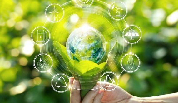 Un appel à innovations sur les vertus des plantes à l’UNIKIS