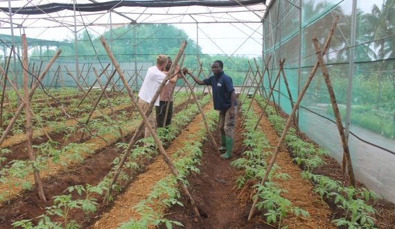 Quatre actions structurantes à impacts rapides pour soutenir l’agriculture durable en Afrique de l’Ouest