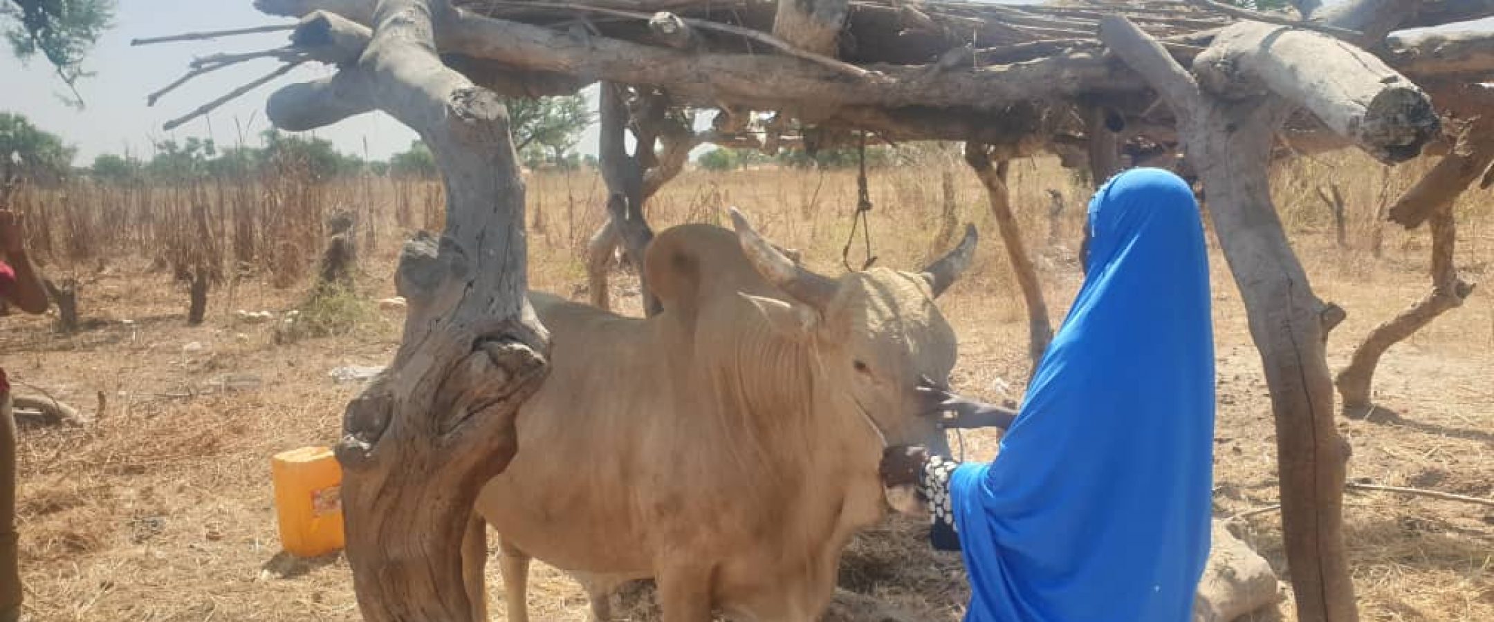 VSF Niger