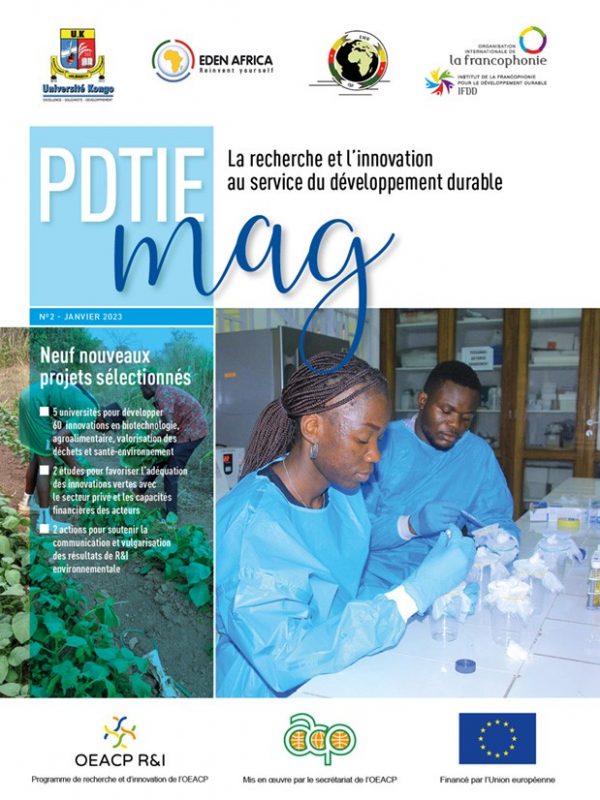 PDTIE mag - No2
