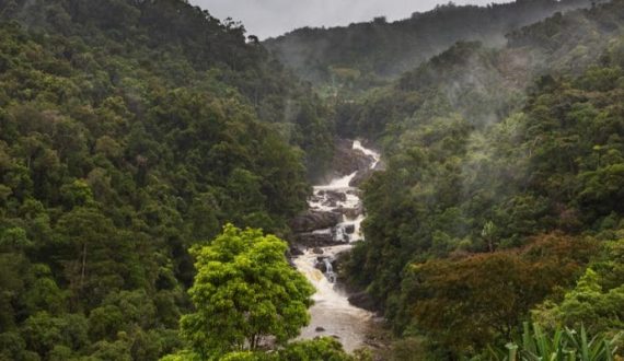 Biodiversité : de l’importance de l’appui de la Francophonie pour un nouveau cadre mondial