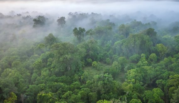 Le secrétariat de la CDB : engagé pour la biodiversité