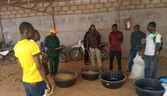 40 jeunes du Burkina Faso, du Niger et du Sénégal se forment aux bonnes pratiques agropastorales