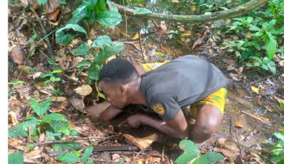 L&rsquo;ERAIFT publie deux affiches sur les savoirs endogènes et le développement durable en RDC