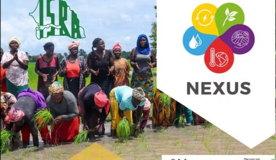 L&rsquo;ISRA publie la liste des microprojets d&rsquo;innovation et d&rsquo;entrepteneuriat Nexus retenus au Sénégal