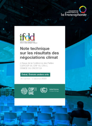 Note technique sur les résultats des négociations climat à l’issue de la Conférence des Parties CdP/COP 28, CRP 18, CRA 5, OSMOE 59, OSCST 59