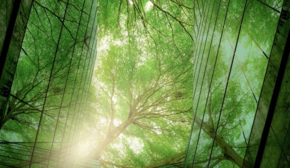 Défis des pays francophones en négociations internationales sur l’environnement: témoignage sur les solutions de l’OIF.