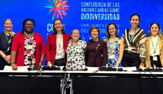 L’IFDD met son expertise en avant dans le cadre d’une session sur les niches biologiques lors de la CdP16 de Cali