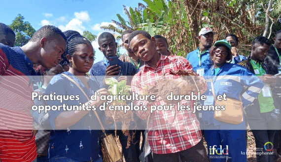 Nouvelle formation francophone sur les pratiques d&rsquo;agriculture durable : plus de 6000 apprenants au rendez-vous