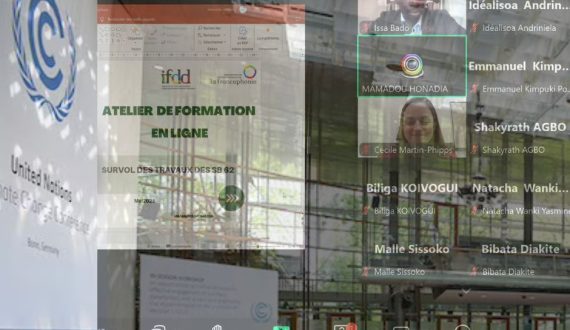 Bilan de l’atelier préparatoire à la SB62 de Bonn  – 13 mai 2025