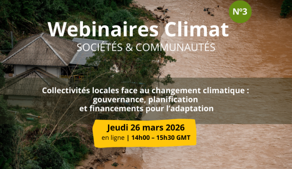 webinaire collectivités locales