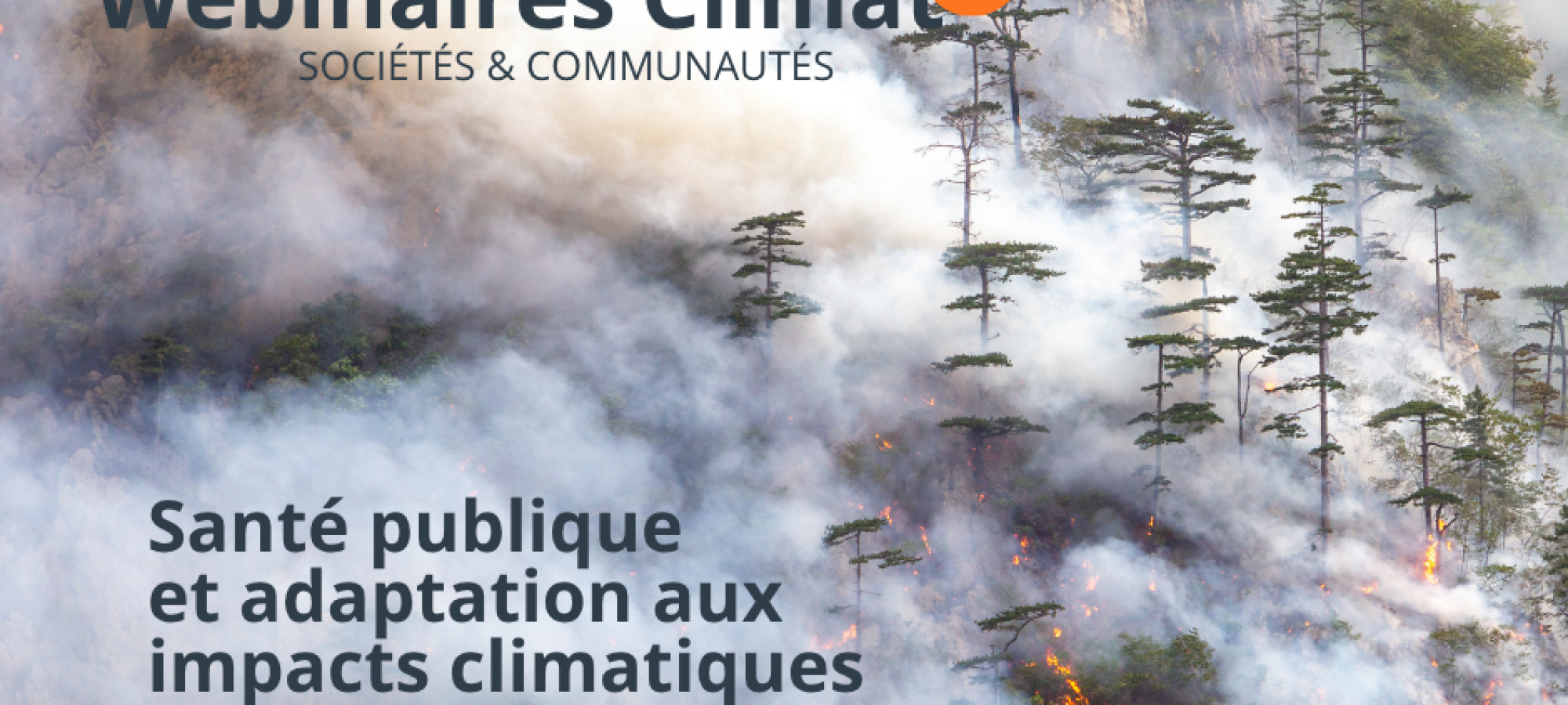 Webinaire5- Santé publique