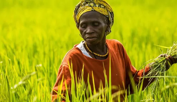 L’IFDD et la GIZ lancent un partenariat stratégique pour renforcer  l’adaptation aux effets du changement climatique et l’accès au financement en Afrique francophone