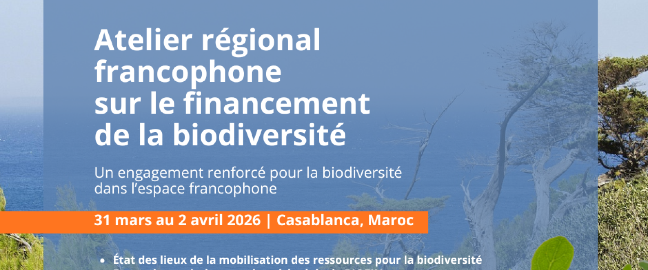 Atelier régional francophone sur le financement de la biodiversité