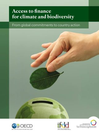 Access to finance for climate and biodiversity: From global commitments to country action