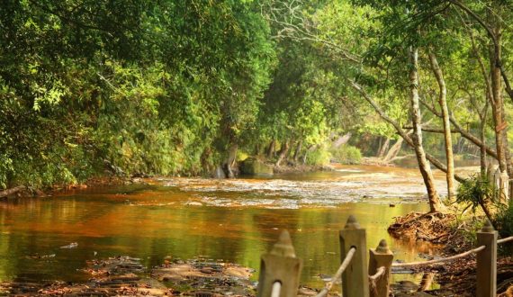 Lutter contre la pauvreté et protéger l’environnement par la formation au tourisme durable à l&rsquo;école Sala Baï au Cambodge