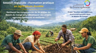 Affiche formation