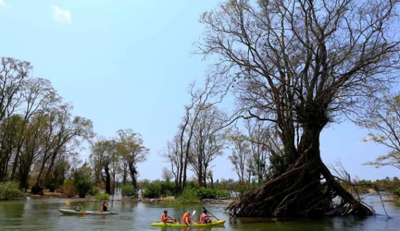 Cambodge : Plongée au cœur du tourisme bleu-vert dans la forêt inondée du Mékong